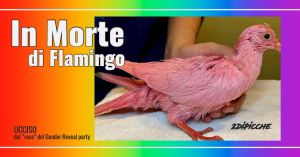 In morte di Flamingo-1