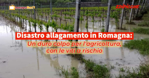 Disastro allagamento in Romagna: Un duro colpo per l’agricoltura, con le viti a rischio di perdita l’ossigenazione alle radici