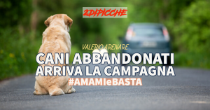 Cani abbandonati, arriva la campagna: #AMAMIeBASTA