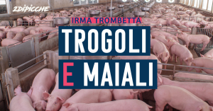 Trogoli e maiali