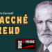 Macché Freud