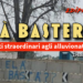 Elà basterà?
