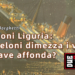 Elezioni Liguria: La Meloni dimezza i voti. La nave affonda?