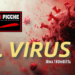 IL VIRUS