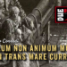 Caelum non animun