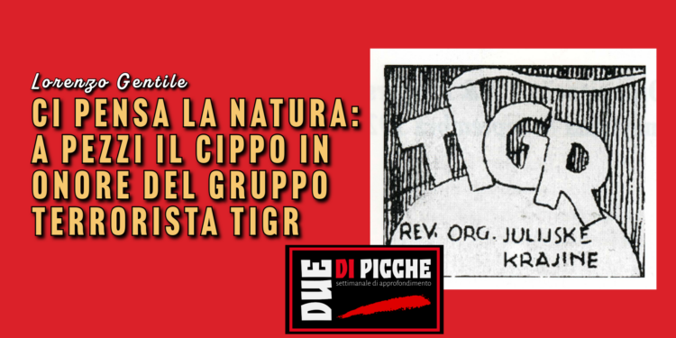 ci pensa la natura