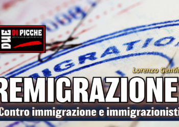 Contro immigrazione e immigrazionisti: remigrazione!
