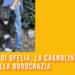 La storia di Ofelia, la cagnolina uccisa dalla burocrazia