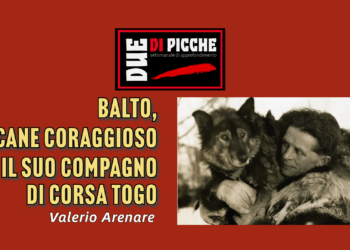 Balto, cane coraggioso e il suo compagno di corsa Togo