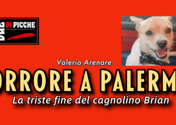 Orrore a Palermo. Ancora una volta un fatto grave perpetrato ai danni di un animale. Un cagnolino è stato rapito, torturato, scuoiato ed impiccato. Il piccolo Brian era scomparso da qualche giorno.