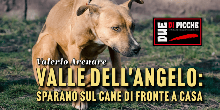Valle dell'Angelo: sparano sul cane di fronte a casa