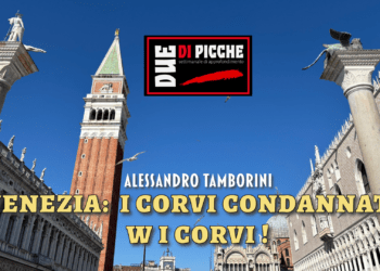 VENEZIA:  I CORVI CONDANNATI, VIVA I CORVI !