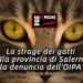 La strage dei gatti della provincia di Salerno: la denuncia dell’OIPA