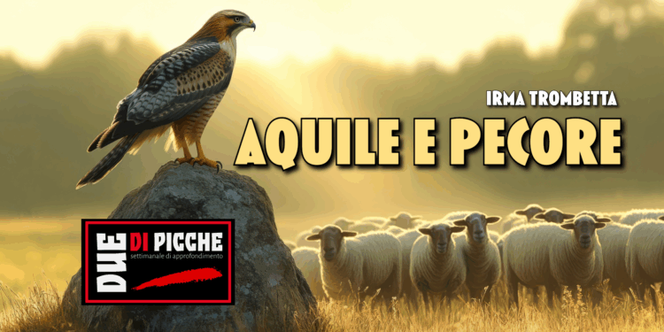 Aquile e pecore