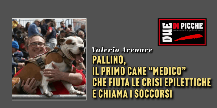 Pallino, il primo cane “medico” che fiuta le crisi epilettiche e chiama i soccorsi