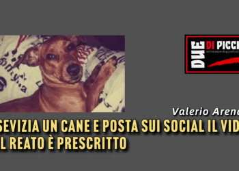 Sevizia un cane e posta sui social il video. Il reato è prescritto