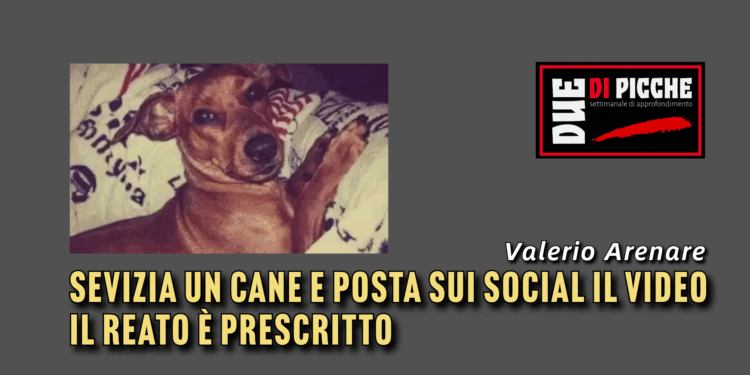 Sevizia un cane e posta sui social il video. Il reato è prescritto