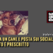 Sevizia un cane e posta sui social il video. Il reato è prescritto