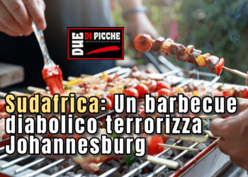 sudafrica un barbecue