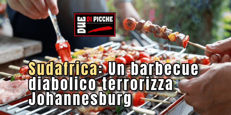 sudafrica un barbecue