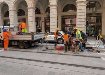 A Bologna bla bla bla, ma intanto tagliano gli alberi, multe e tasse aumentano. 