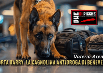 Morta Barry la cagnolina antidroga di Benevento