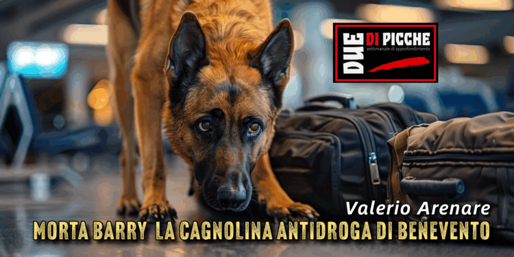Morta Barry la cagnolina antidroga di Benevento