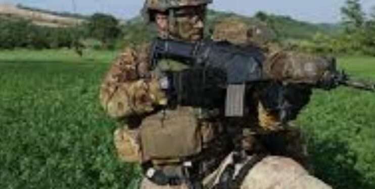 Forze militari