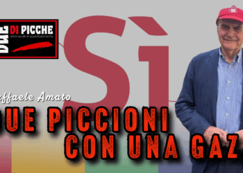 DUE PICCIONI CON UNA GAZA
