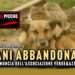 Cani abbandonati: la denuncia dell'associazione Verde&Azzurro