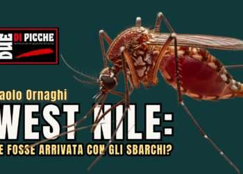 West Nile: se fosse arrivata con gli sbarchi?