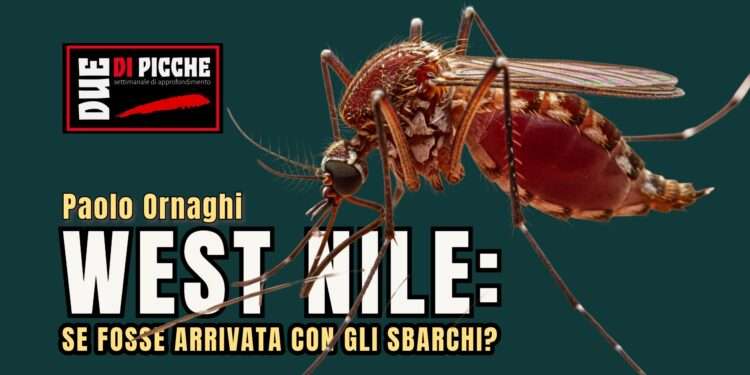 West Nile: se fosse arrivata con gli sbarchi?