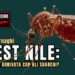 West Nile: se fosse arrivata con gli sbarchi?
