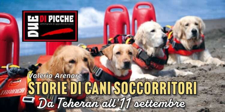 Storie di cani soccorritori