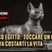 Antico Egitto: toccare un gatto poteva costarti la vita