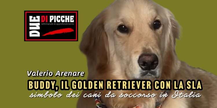 simbolo dei cani da soccorso in Italia