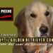 simbolo dei cani da soccorso in Italia