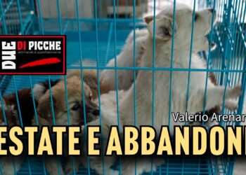 Estate e abbandoni