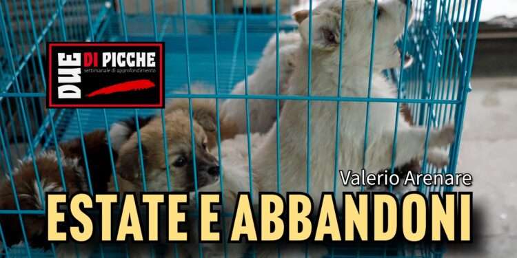 Estate e abbandoni