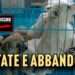 Estate e abbandoni