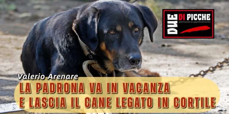 La padrona va in vacanza e lascia il cane legato in cortile