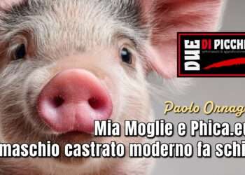 Mia Moglie e Phica.eu. Il maschio castrato moderno fa schifo