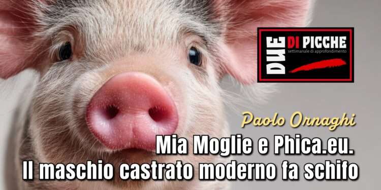 Mia Moglie e Phica.eu. Il maschio castrato moderno fa schifo