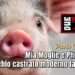 Mia Moglie e Phica.eu. Il maschio castrato moderno fa schifo