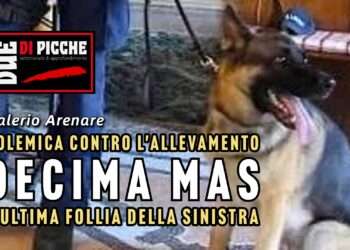 Polemica contro l'allevamento Decima Mas: l'ultima follia della sinistra