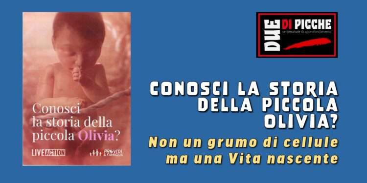Non un grumo di cellule ma una Vita nascente