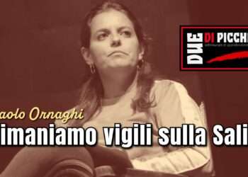 Rimaniamo vigili sulla Salis