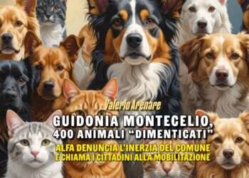 Guidonia Montecelio, 400 animali “dimenticati”