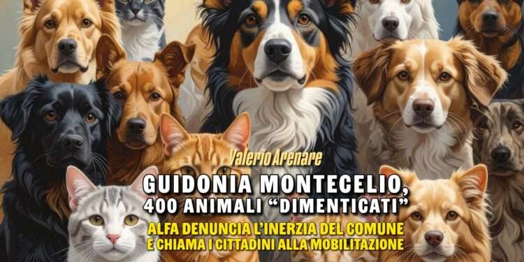 Guidonia Montecelio, 400 animali “dimenticati”