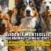 Guidonia Montecelio, 400 animali “dimenticati”